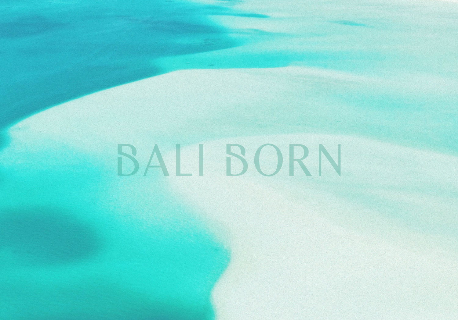 bali+born+logo+ +for+sale+via+thebrandbazaar