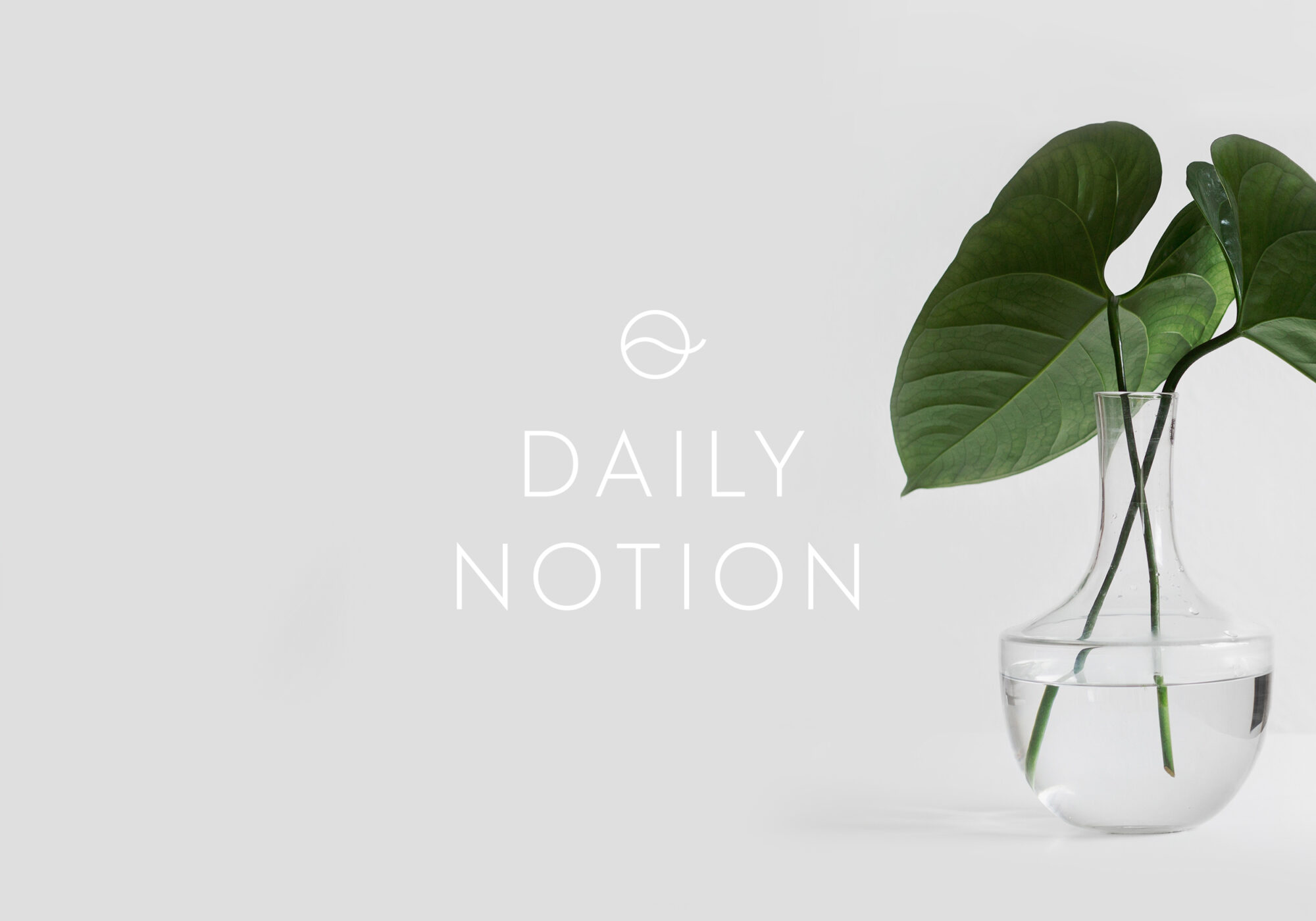 Daily Notion Logo Design :: The Brand Bazaar