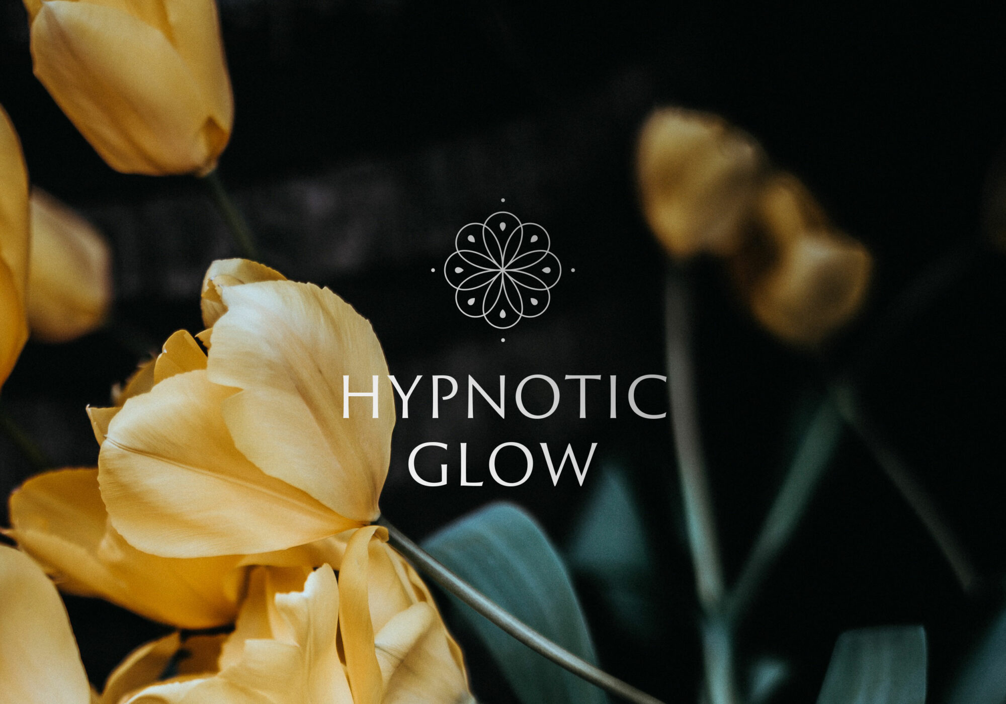 Hypnotic Glow Logo Design :: The Brand Bazaar