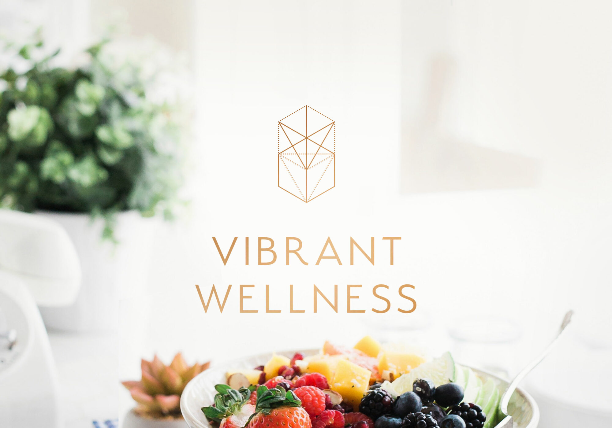 Vibrant Wellness Logo Design :: The Brand Bazaar