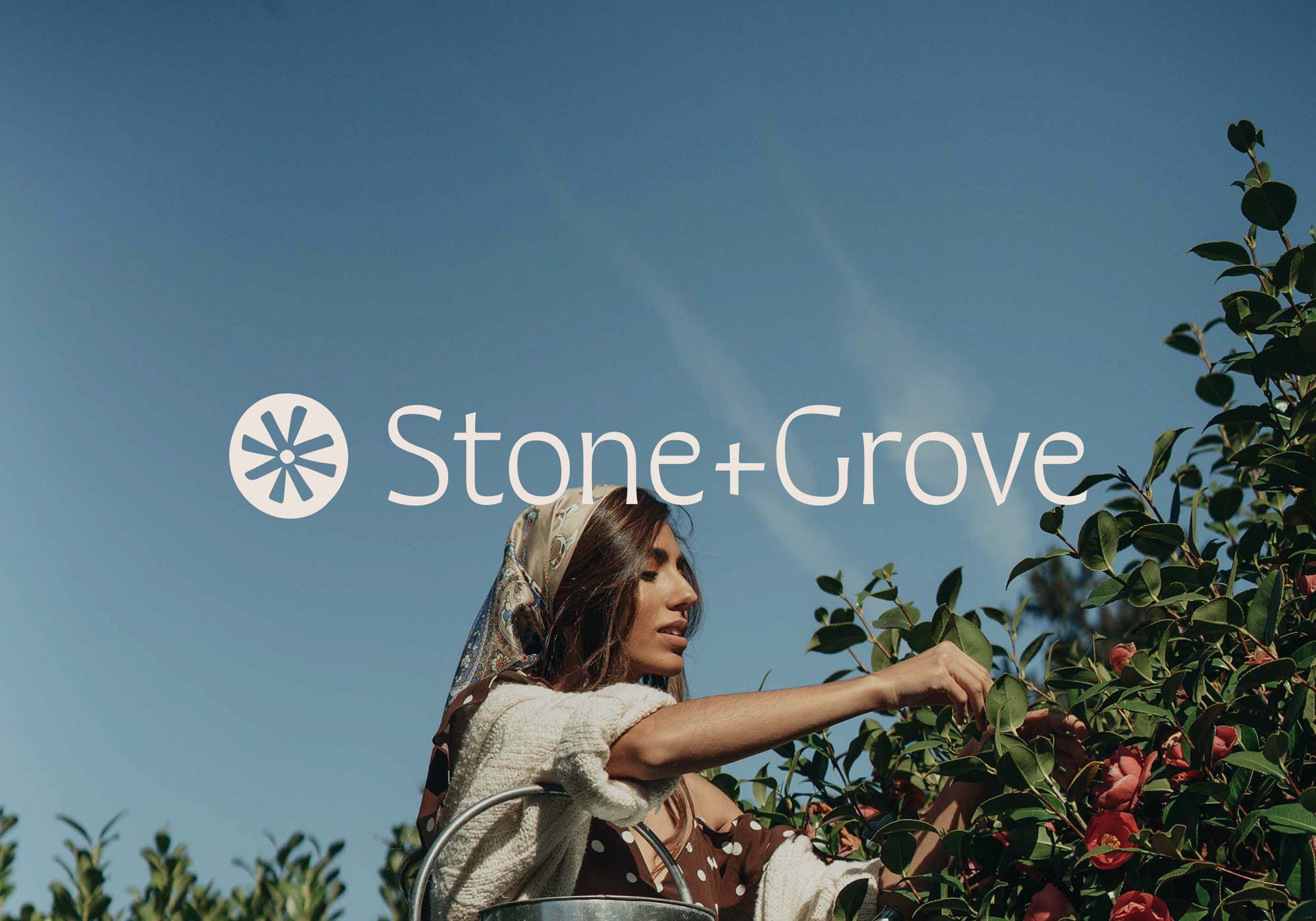 Stone + Grove by The Brand Bazaar