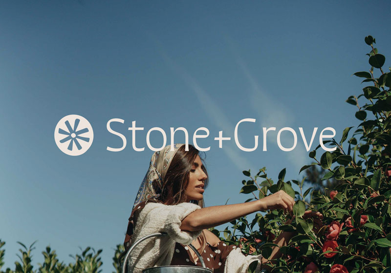 Stone + Grove by The Brand Bazaar
